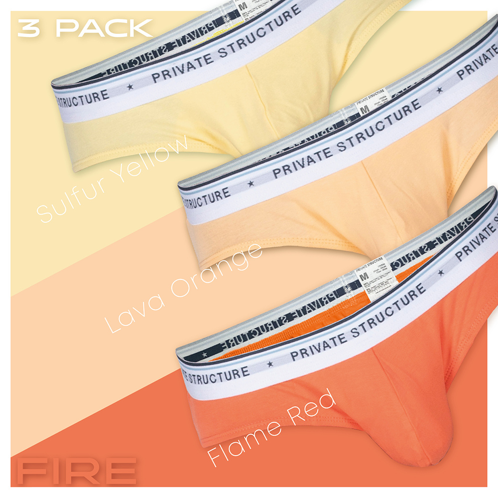 【5lements】Fire ブリーフ3枚セット - PRIVATE STRUCTURE- PRIVATE STRUCTURE( プライベートストラクチャー)日本公式サイト - Apparel & Accessories