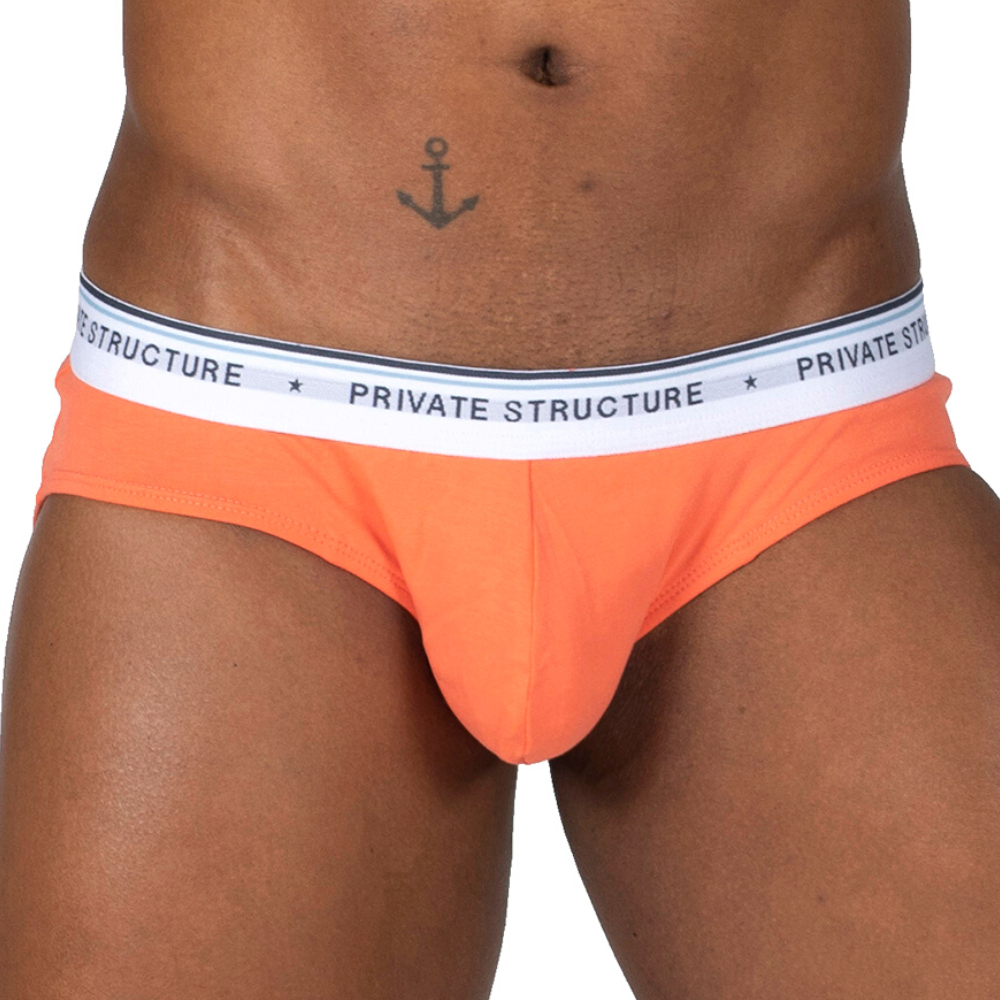 【5lements】Fire ブリーフ3枚セット - PRIVATE STRUCTURE- PRIVATE STRUCTURE( プライベートストラクチャー)日本公式サイト - Apparel & Accessories