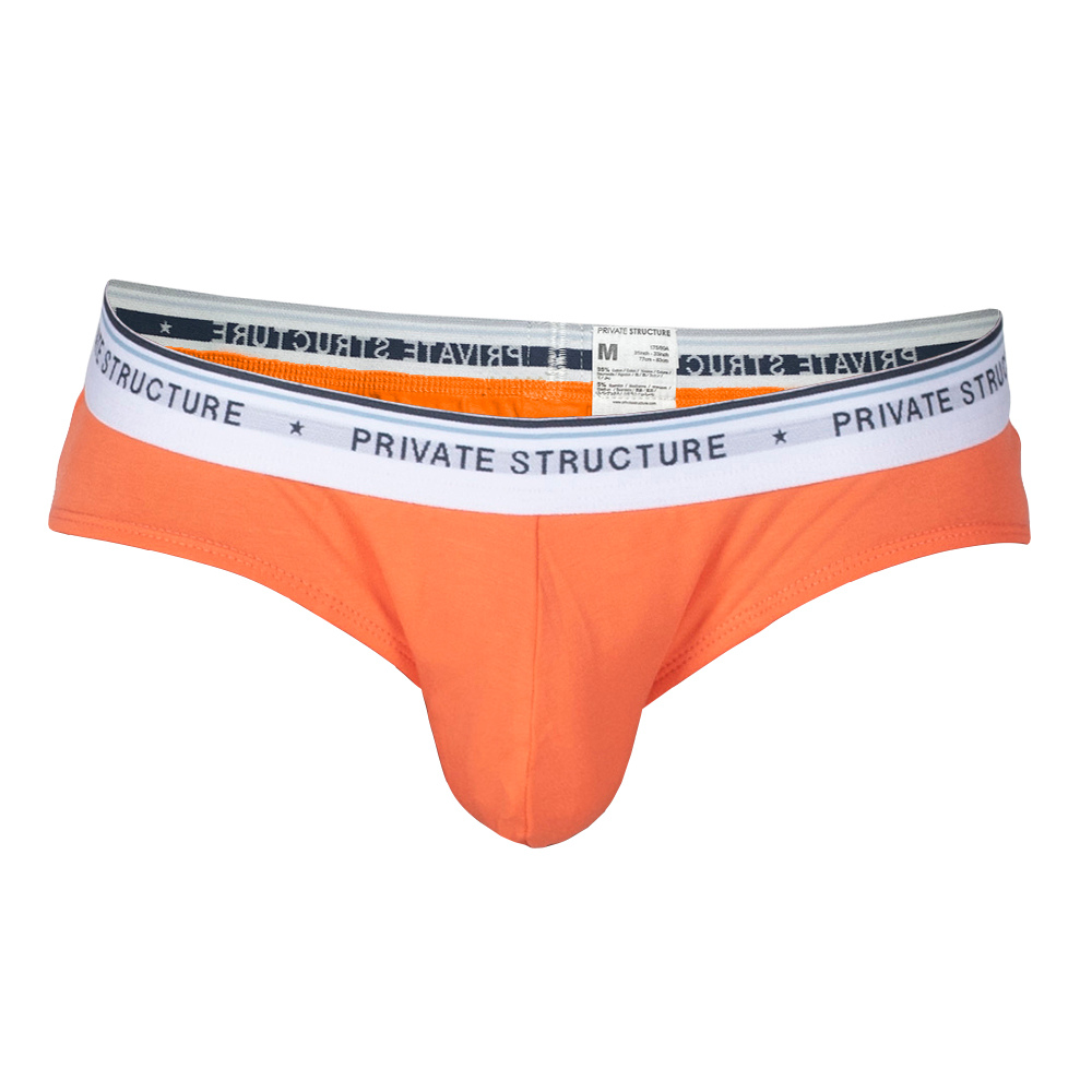 【5lements】Fire ブリーフ3枚セット - PRIVATE STRUCTURE- PRIVATE STRUCTURE( プライベートストラクチャー)日本公式サイト - Apparel & Accessories